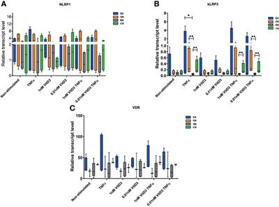 The Expression of Inflammasomes NLRP1 and NLRP3, Toll-Like Receptors, and Vitamin D Receptor in Synovial Fibroblasts From Patients With Different Types of Knee Arthritis